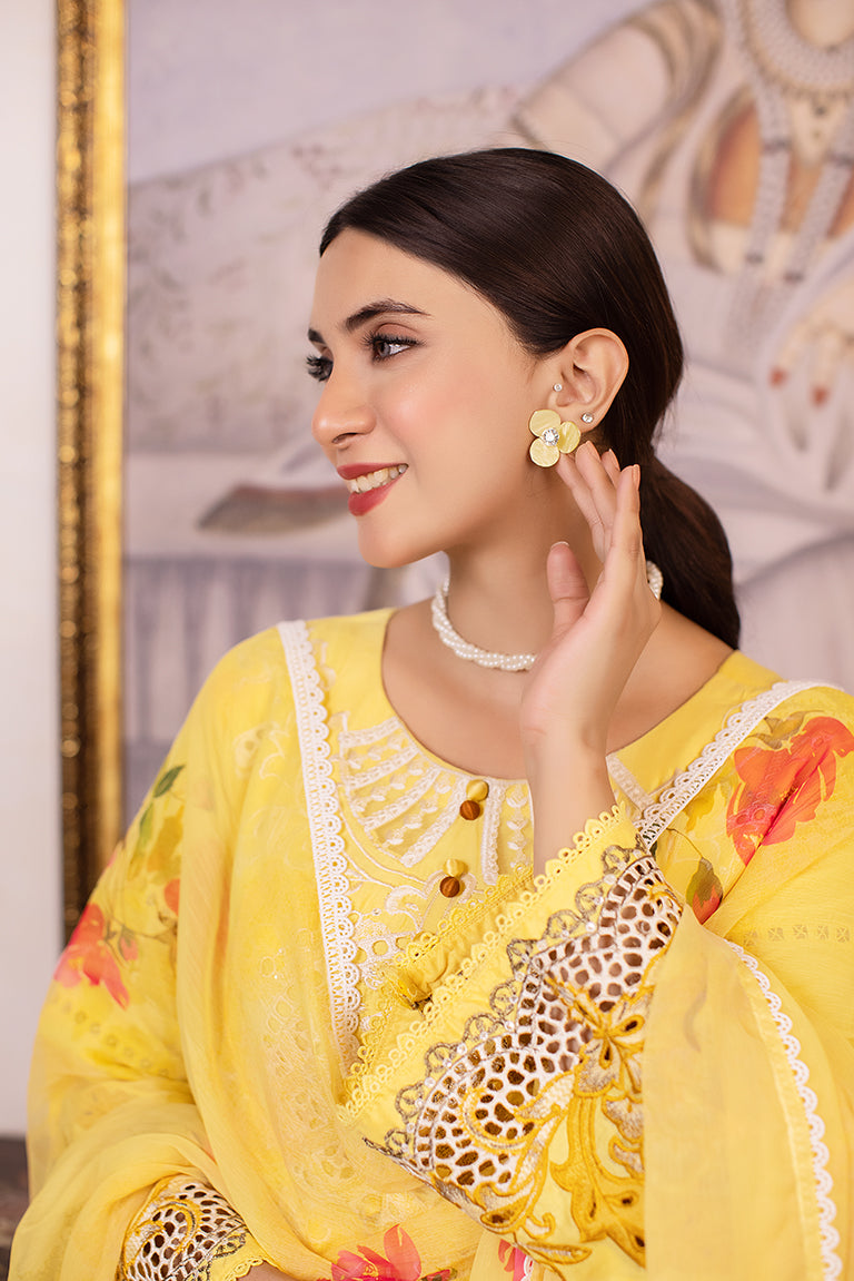 Chiffon Dress For Women