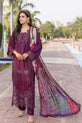 Pakistani --Plus-- Size Dress