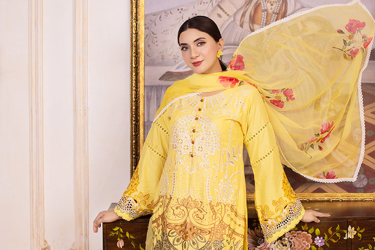 Pakistani Linen Dress