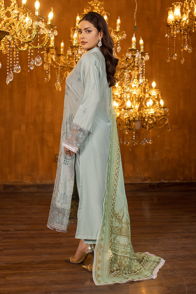 Pakistani Linen Dress