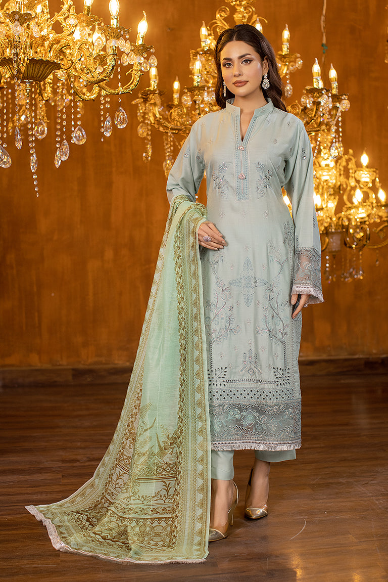Pakistani Party Wear Dress