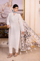 Pakistani Plus Size Dress