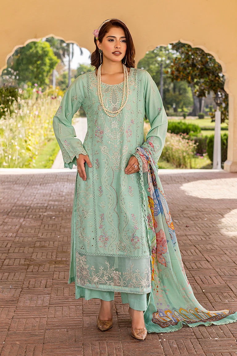 Pakistani Plus Size Dress