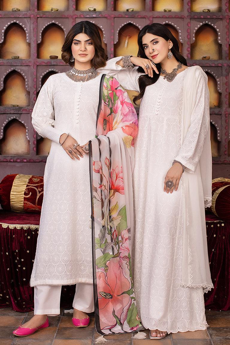 Pakistani Plus Size Dresses