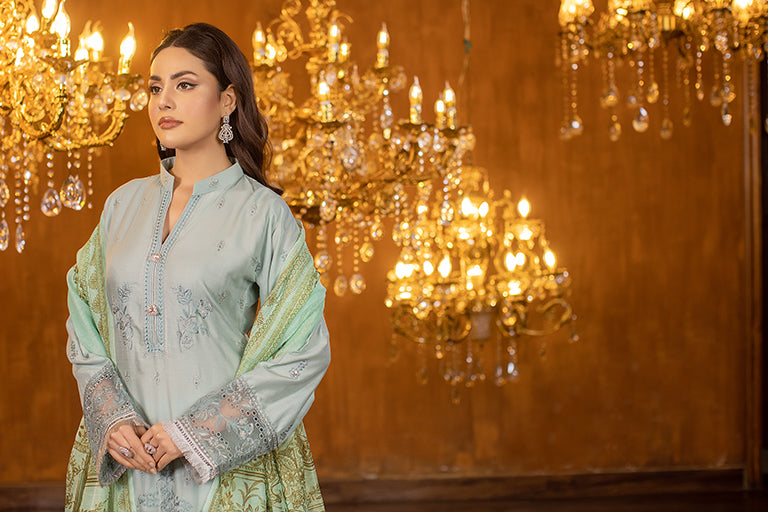 Pakistani Plus Size Dress 