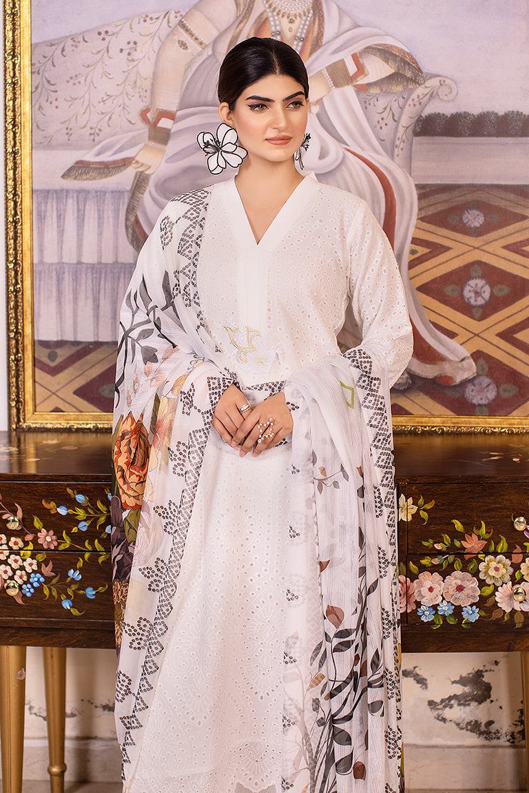 Pakistani Summer Dress